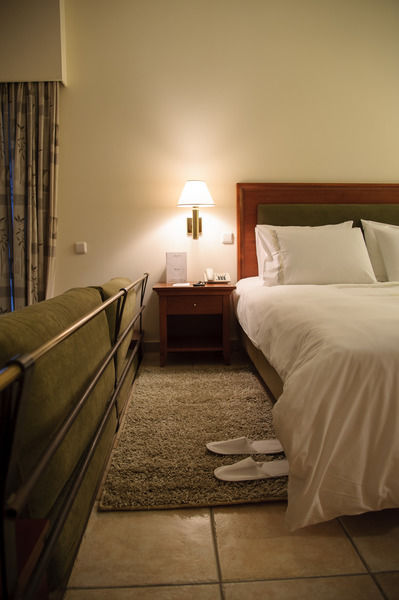Hotel Olympion Asty 4*
